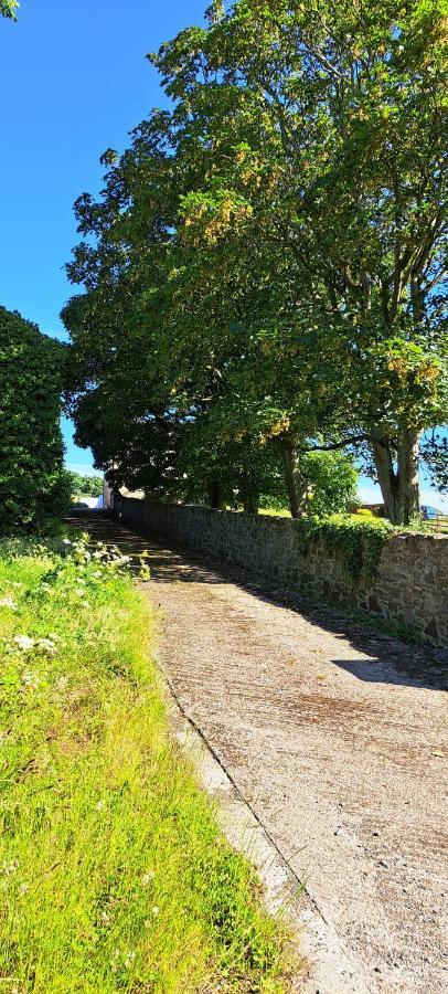 Ardkeen House B&B Exterior photo